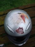 Filename=helmet.jpg
Filesize=79KB
Dimensions=600x800
Date added=Dec 04, 2010 helmet.jpg