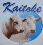 Filename=kaitoke.jpg
Filesize=61KB
Dimensions=800x844
Date added=Sep 07, 2009 kaitoke.jpg
